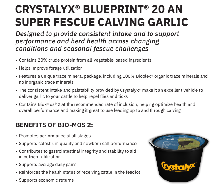 CRYSTALYX BLUEPRINT 20 AN SUPER FESCUE CALVING GARLIC 200#