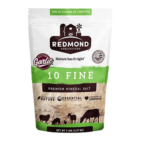 REDMOND 10 FINE MINERAL SALT W/ GARLIC 5LB