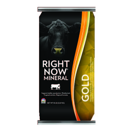 RIGHT NOW GOLD 50#