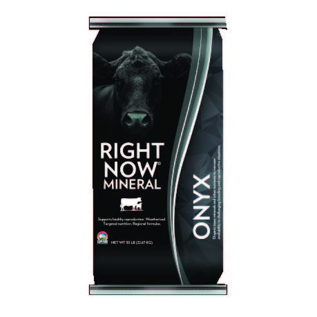 RIGHT NOW ONYX 50#