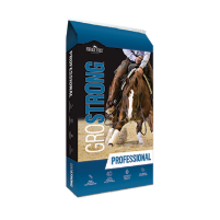 ADM GROSTRONG PROFESSIONAL HORSE FEED - 50#