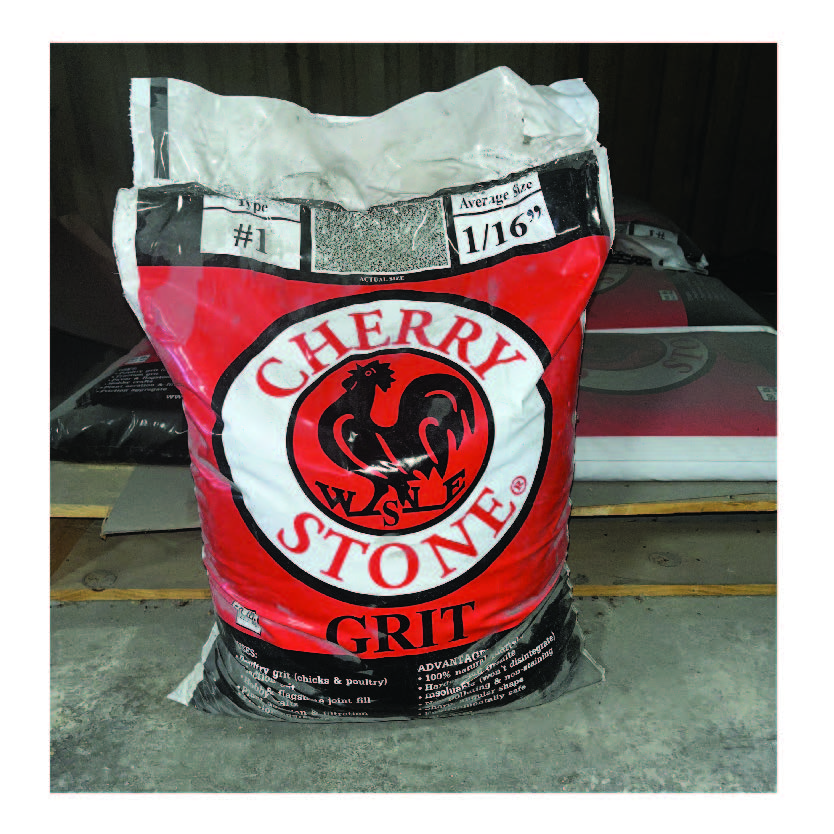 GRIT STARTER 50  #1