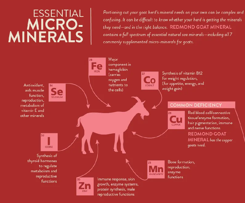REDMOND GOAT MINERAL 5#