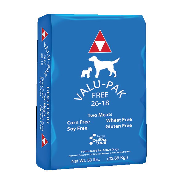 VALUPAK 28-20 BLUE BAG